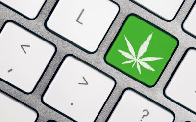 Software is the hot thing in cannabis right now