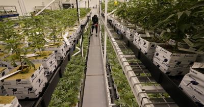 Medical cannabis expansion launches in Utah