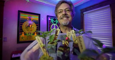 After felony convictions, Peter Maccaro now has chance to become a marijuana craft grower