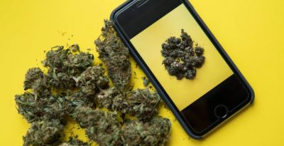 The Coronavirus Pandemic Makes Cannabis Online Marketing More Important Than Ever 