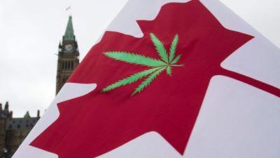 Former task force chair Anne McLellan sees warning signs from first year of decriminalized cannabis