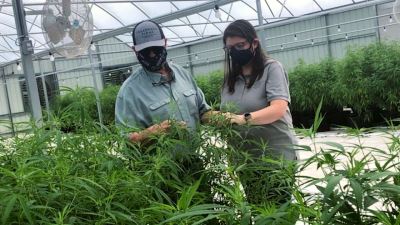 For This Family of Farmers, Hemp is Their Golden Ticket to the Future