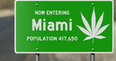 Legislation Update For All The Cannabis Bills Pending In Florida