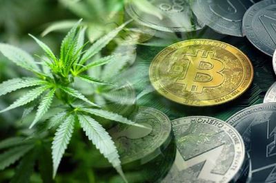 How Cryptocurrency is Helping the Cannabis Industry  - Coinfomania