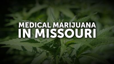 Wise Health Solutions, LLC scores medical marijuana license scoring job