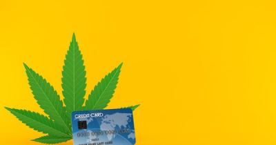 Square Quietly Launches Program For CBD Cannabis Company Credit Card Processing