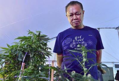 [THAILAND] Finally, a Law on Importing and Producing Medical Cannabis is (Almost) Here