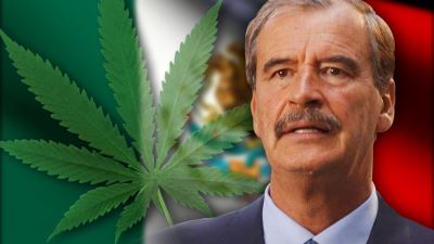 Vicente Fox, Former Mexican president says legalizing marijuana will hit the cartels hard