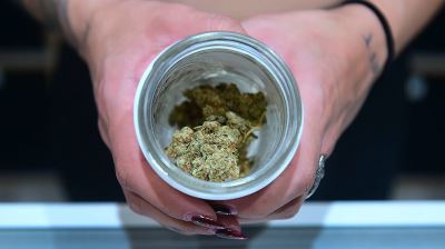 Montana to vote on legalizing recreational marijuana