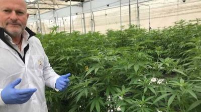 Israel is banking on cannabis as its next big industry