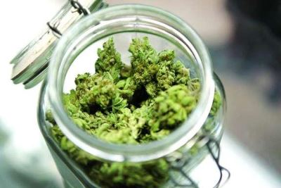 Florida Getting Closer To Allowing Edible Medical Marijuana