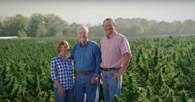 Watch Mitch McConnell Frolic In A Field Of Cannabis